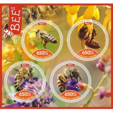 Fauna Bees